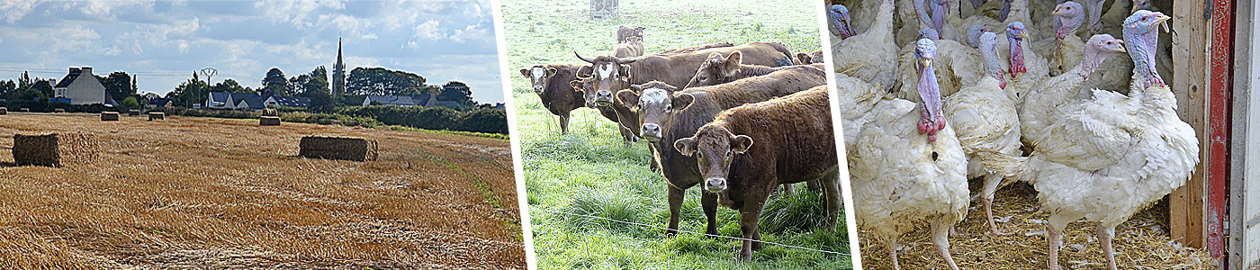 Bandeau agriculture