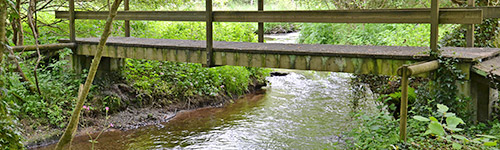 eaux-assainissement-DSC_6151