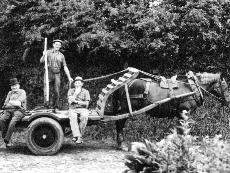 la moisson kérougay 1960