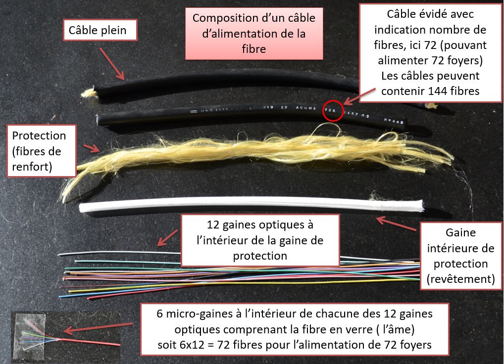 Composition de la fibre