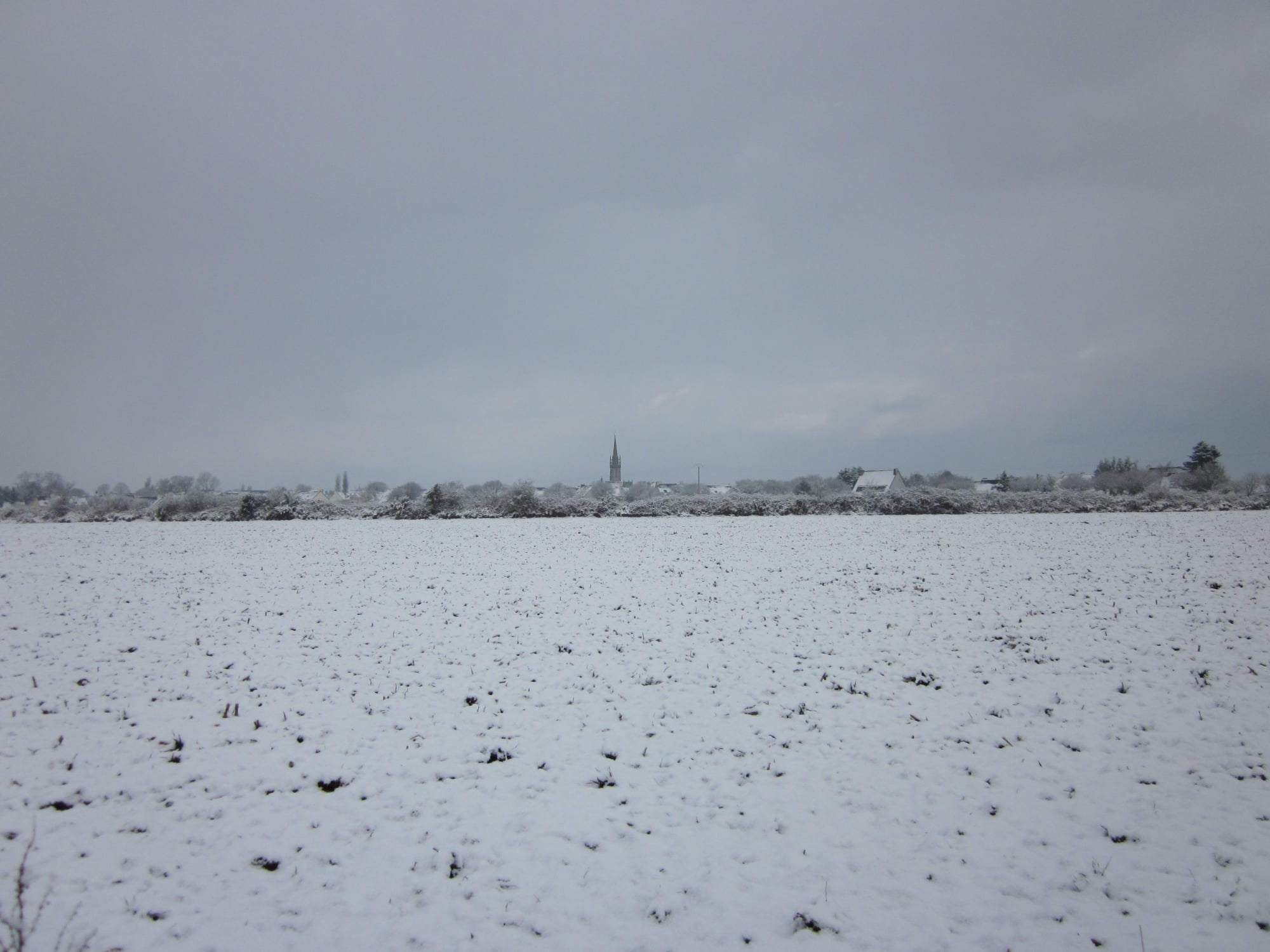 PAY43 - TREVILIS-HUELLA SOUS LA NEIGE