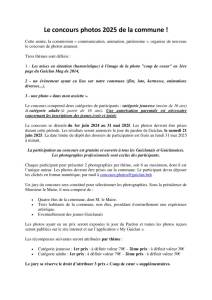 thumbnail of Règlement concours de photos – V5
